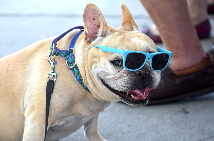 Hana wears her sunglasses to shield her eyes from the solar eclipse.