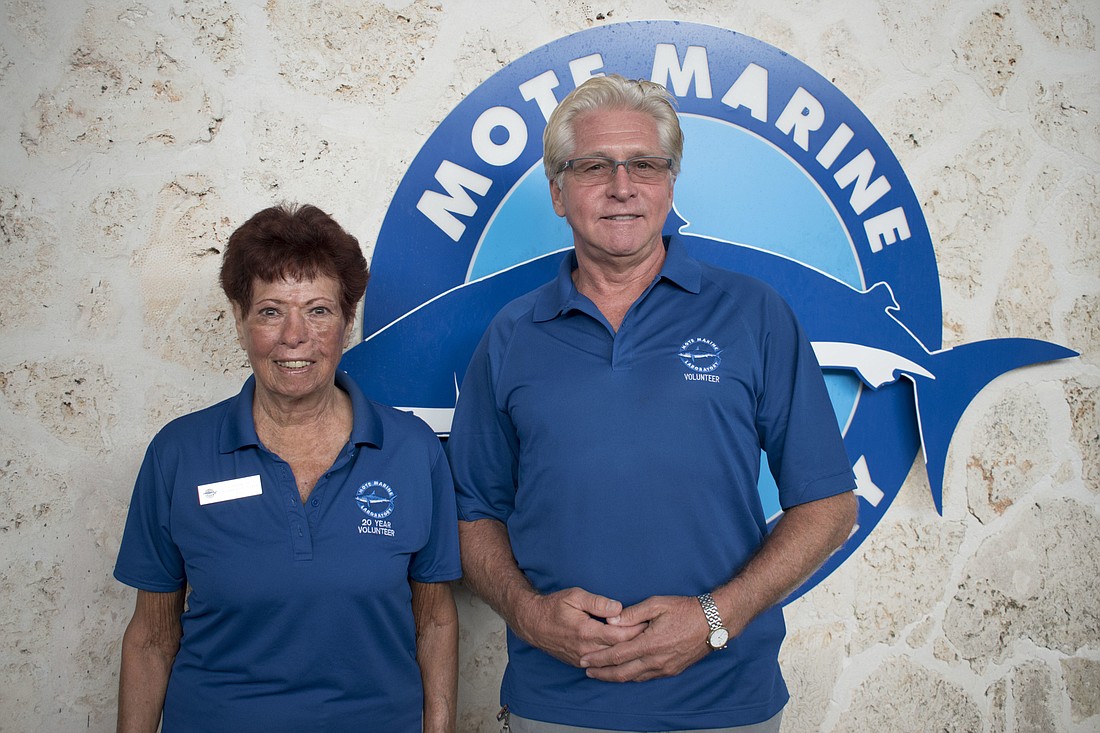 Volunteers don&#39;t need to have backgrounds in marine science. Mote gives their volunteers training before sending them out to their posts.
