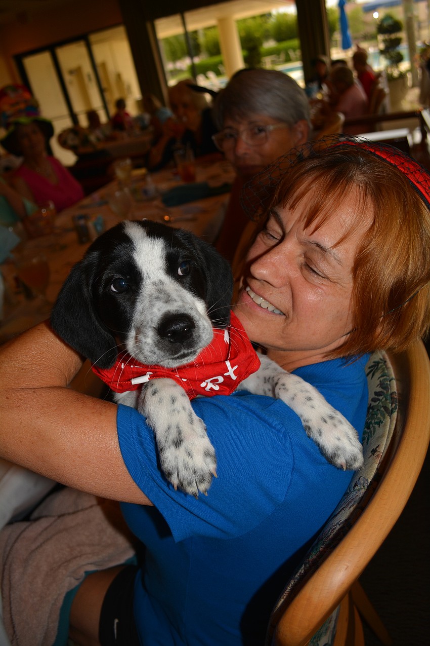 Milton gives Nate's Honor Animal Rescue volunteer Cher Grossman a hug. He is up for adoption. Nate's was the benefiting charity.
