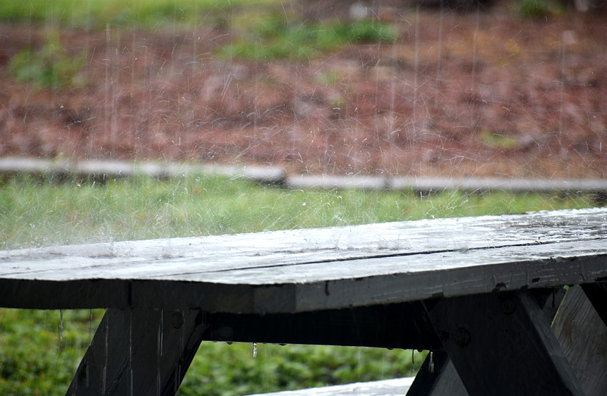 As soon as the captains steered their boats out on Sarasota Bay, a storm rolled in.