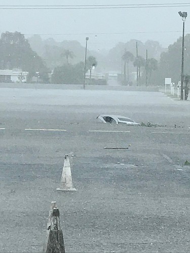 A man driving over a flooded roadway drove his car into a drainage ditch, according to officials with the Sarasota Police Department. Officers were able to pull him from the water, but he later died at the hospital.