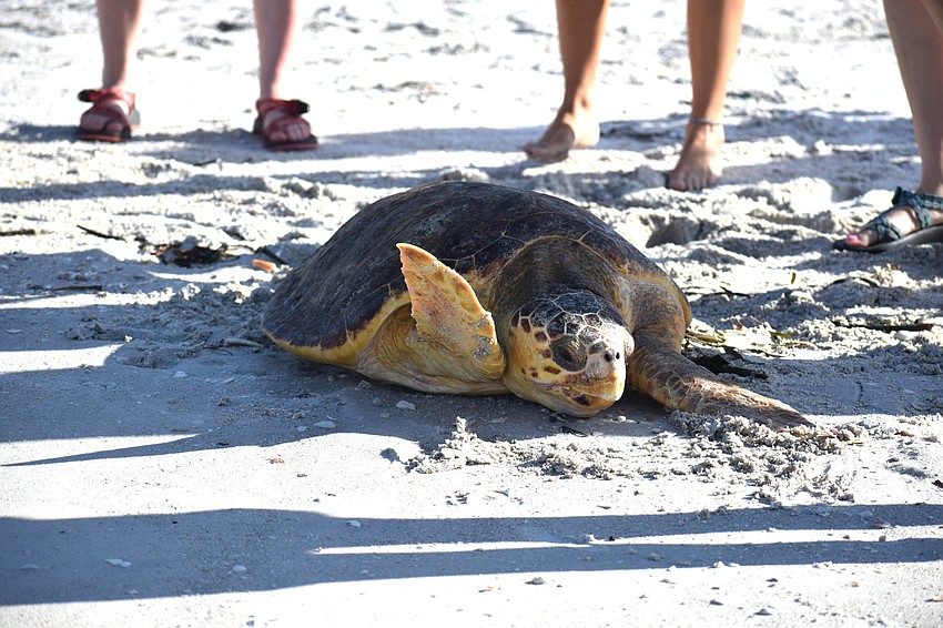 Patti makes her way to the Gulf of Mexico.