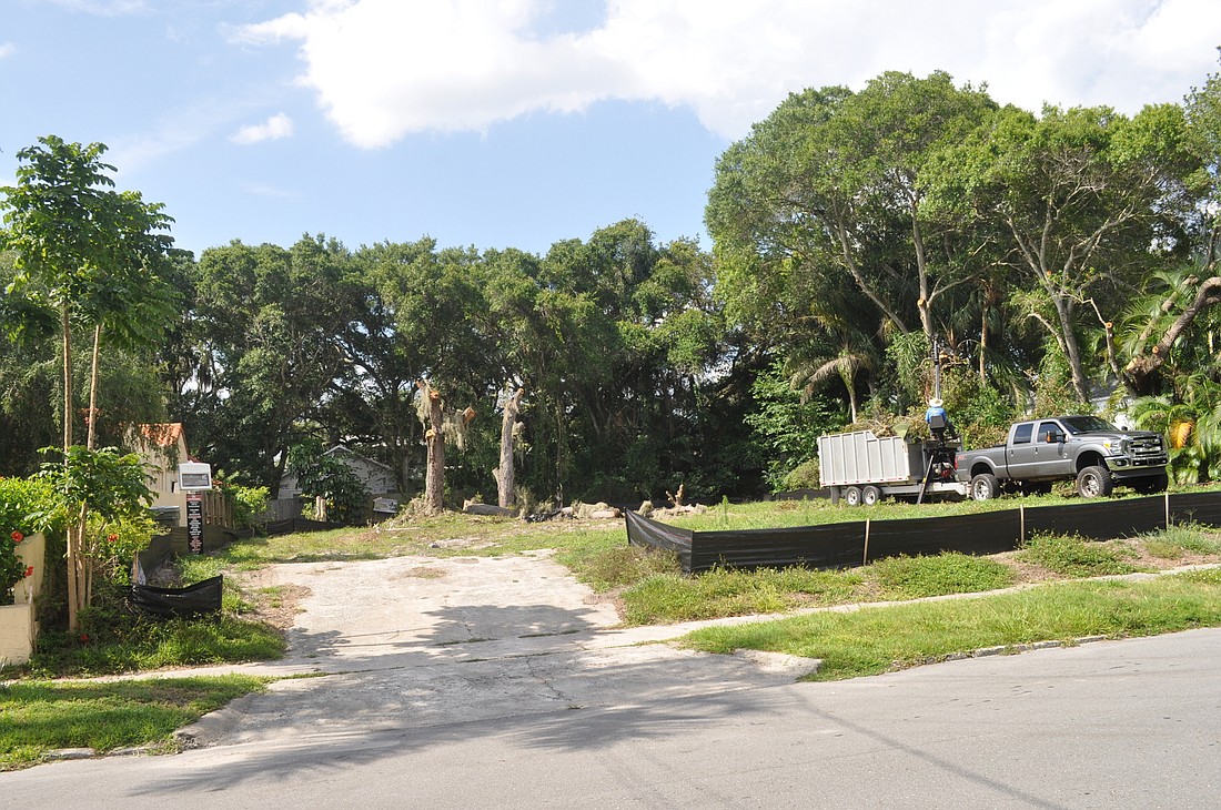 Residents have asked the city to improve its regulations for protecting trees during an increase in development, but builders have called the existing rules too onerous.