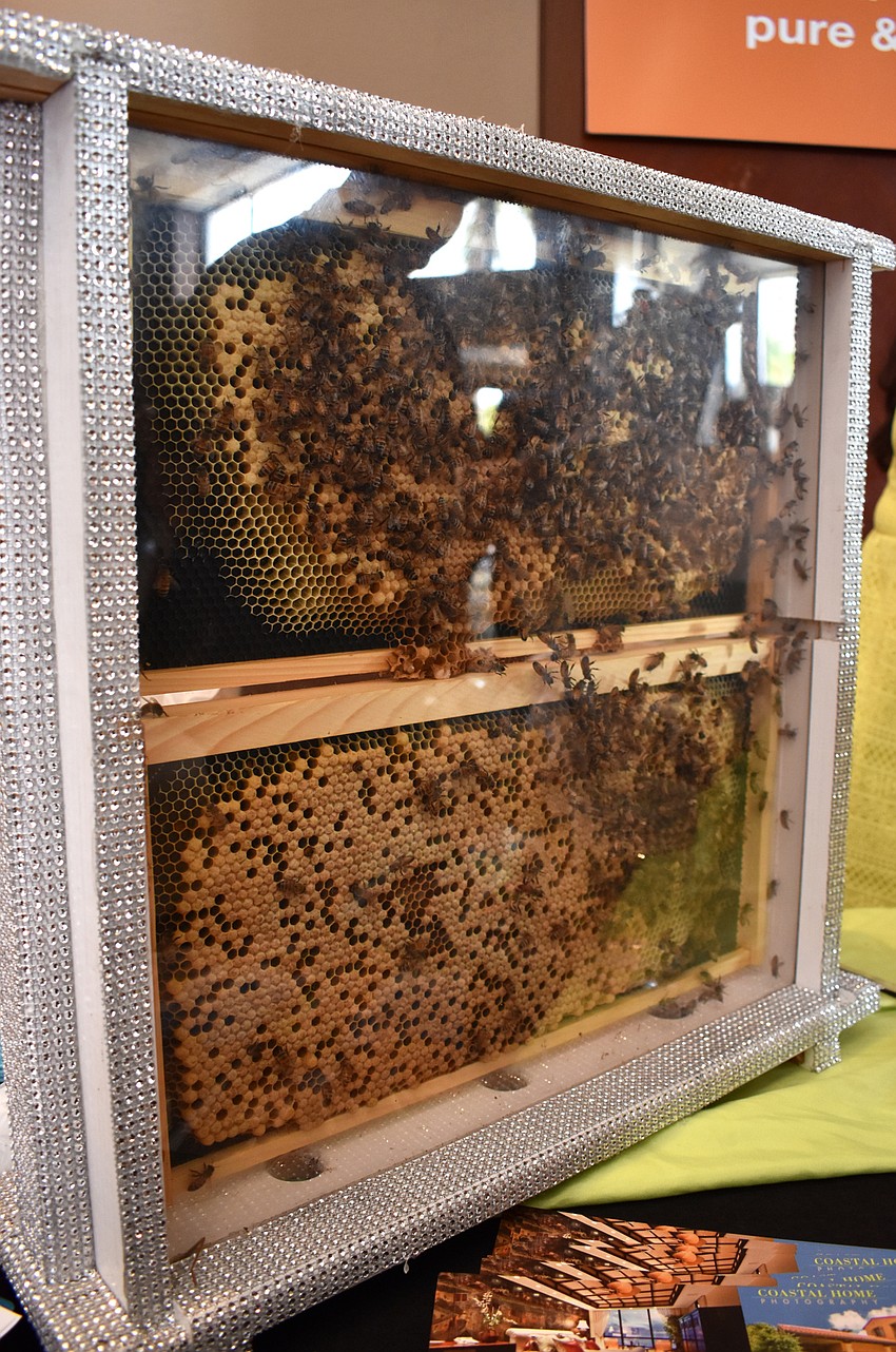 Sarasota Honey Co. had a display including live bees at the Women’s Council of Realtors Sarasota 2017 Fashion Show: “The Pieces Make the Whole” on Sept. 6 at Hyatt Regency Sarasota.