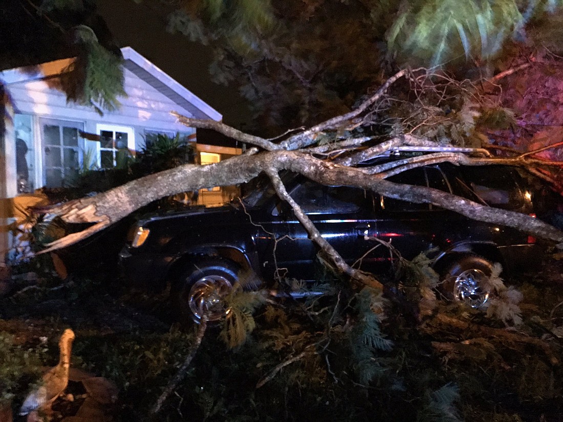 Authorities reported trees down around the area this morning.