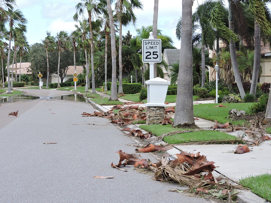Manatee County will release a date when it will pick up storm debris later this week. Only garage that fits in a can will be picked up in regular garbage service.