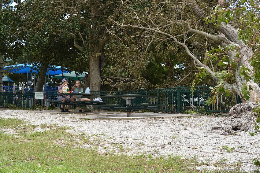 Matt McLane and Angela Fernandes enjoy a picnic amid downed trees in Bayfront Park.