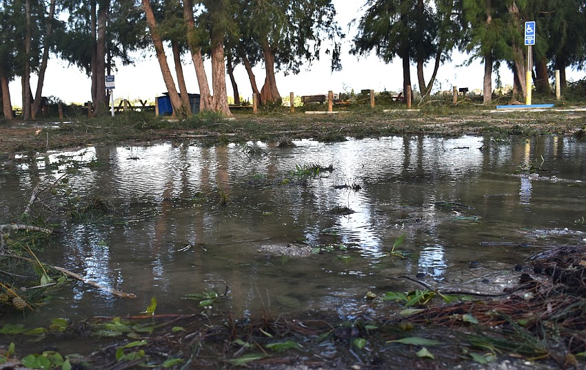 South Lido County Park was covered in puddles following Hurricane Irma. Photo by Niki Kottmann