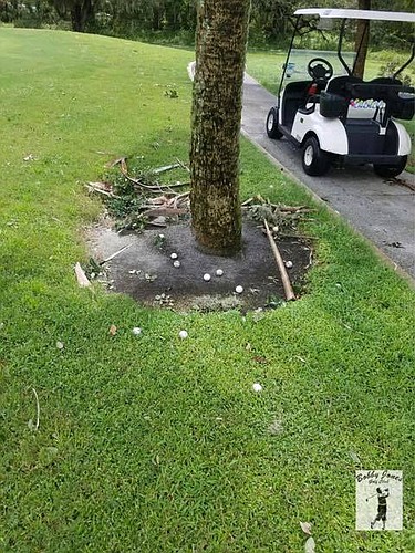 The sixth hole at the Bobby Jones Golf Course in Sarasota gave up about a dozen balls in Hurricane Irma&#39;s winds.