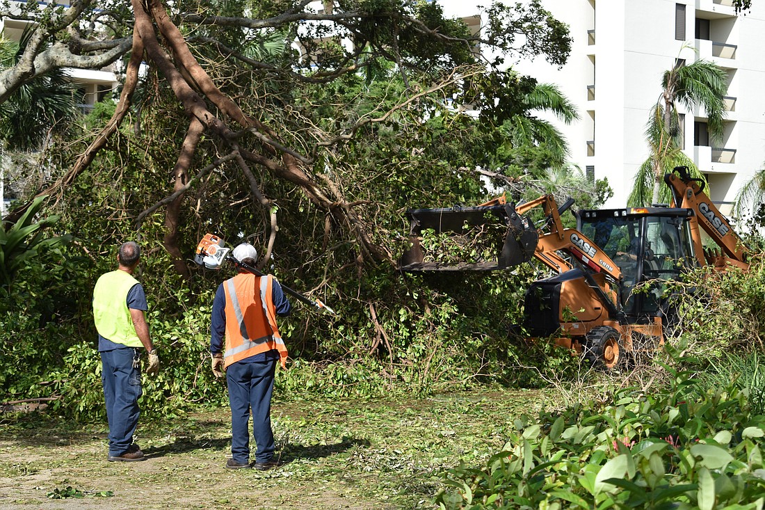 Longboat Key Public Works Department employees clear a tree in front of a residence in the Bay Isles community on Sept. 11. Photo by Niki Kottmann