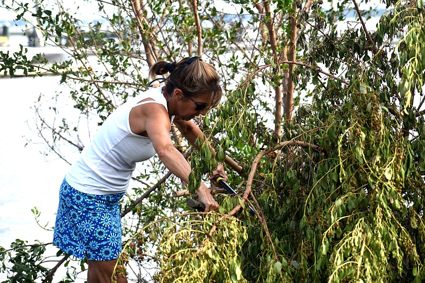 Lisa Barzel clips tree branches to help remove debris around the Sarasota Sailing Squadron.