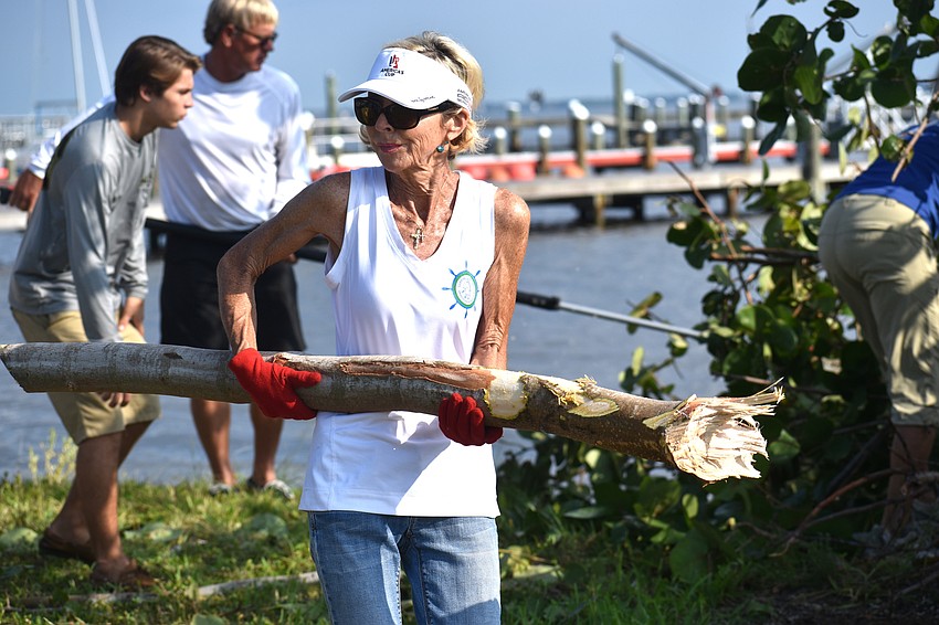 Rosemary McMullen carries tree debris off Sarasota Sailing Squadron property.