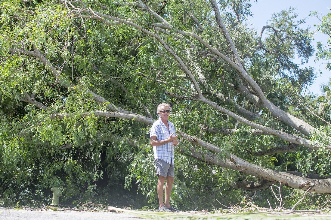 Siesta Key resident Peter Hull surveys the storm damage Monday. Hull said he considers himself lucky for not losing his home.