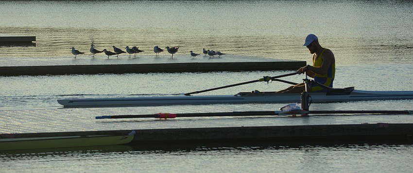 Seagulls were the only company for a lone rower early Sunday morning.