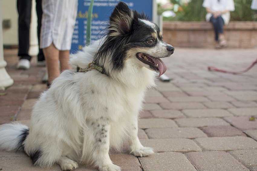 Winston waits to receive his blessing at Church of the Redeemer on Oct. 1.