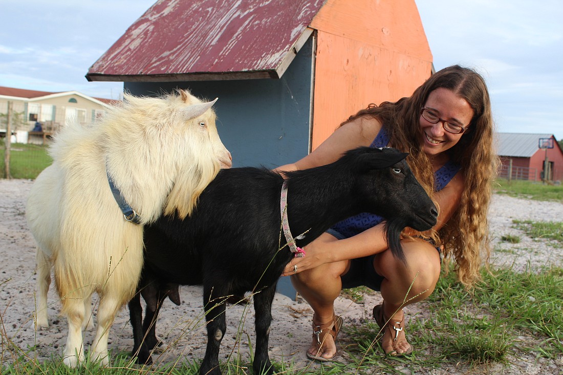 Myakka Cityâ€™s Morgan Smith has nine goats on her property, including two of her favorites, Jay and Annie.