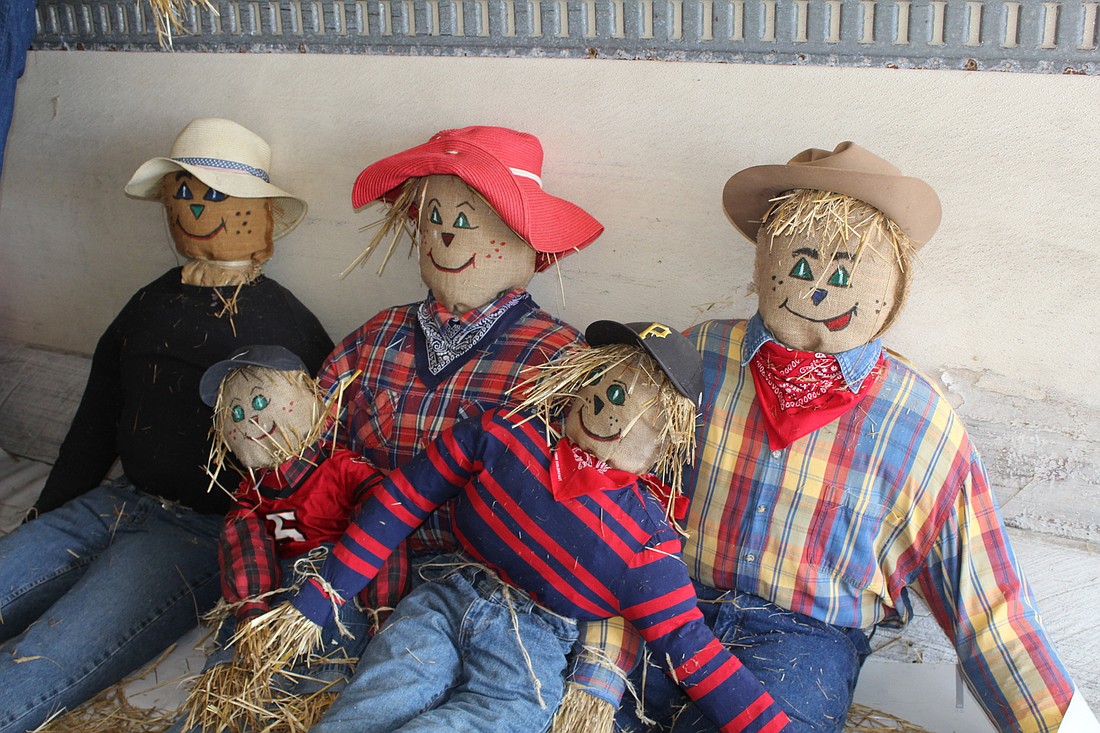 Forty scarecrows, including these, have been built for Hunsader Farmsâ€™ Pumpkin Festival, which begins Oct. 14. Connie Hunsader said keys to building scarecrows include thrift store shopping and using straw instead of hay.