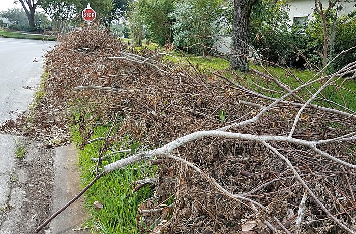 Neighborhoods in Lakewood Ranch and other East County communities still have storm debris waiting for pickup.