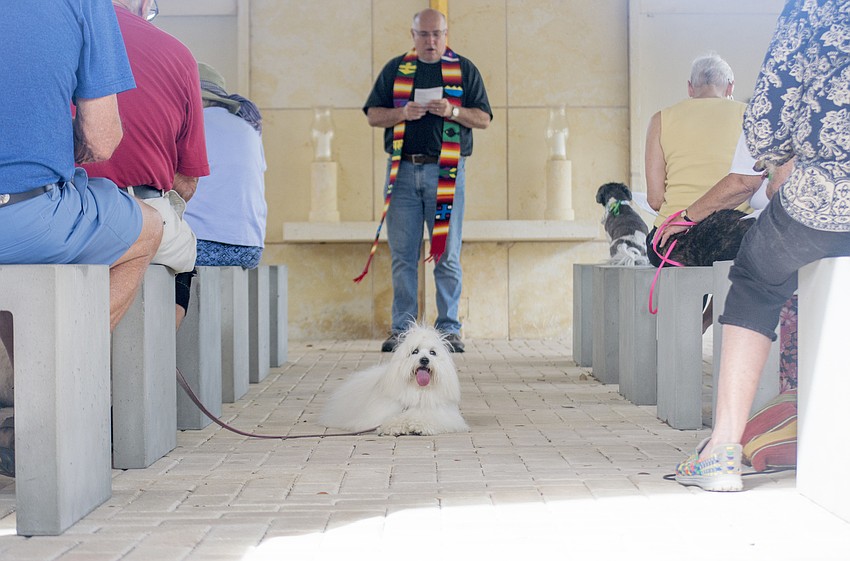 Amanda the dog lays in the aisle during the service.