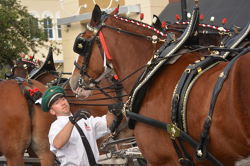 Driver Rudy Helmuth might have gotten a little too close before the team started its march.