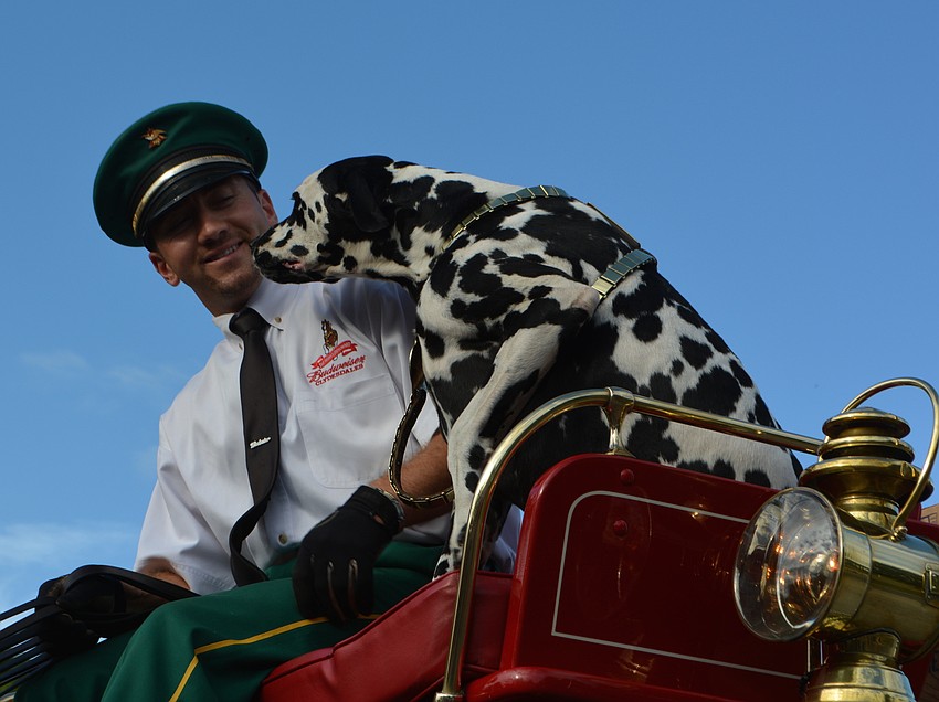 Driver Rudy Helmuth is kept company by the Clydesdales' dog mascot, named 