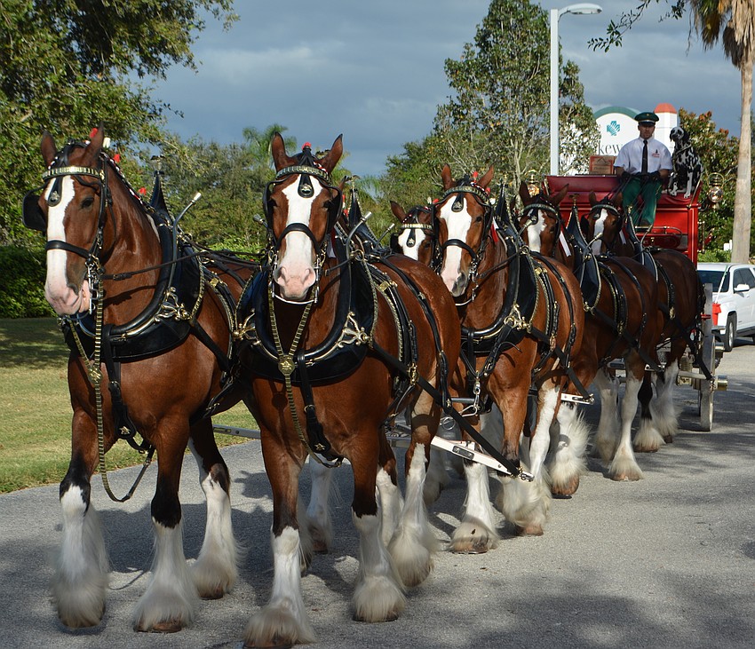 This team appeared at the 2017 World Rowing Championship in late September. They didn't pull a boat, though.