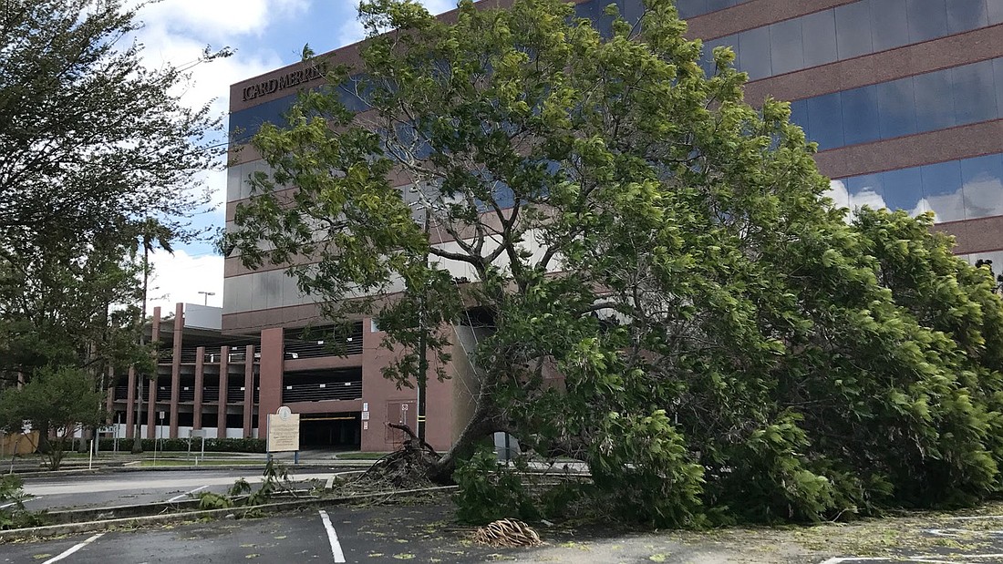 Now that most of the debris from Irma is cleaned up, the county is undergoing a review to analyze their response to the emergency.
