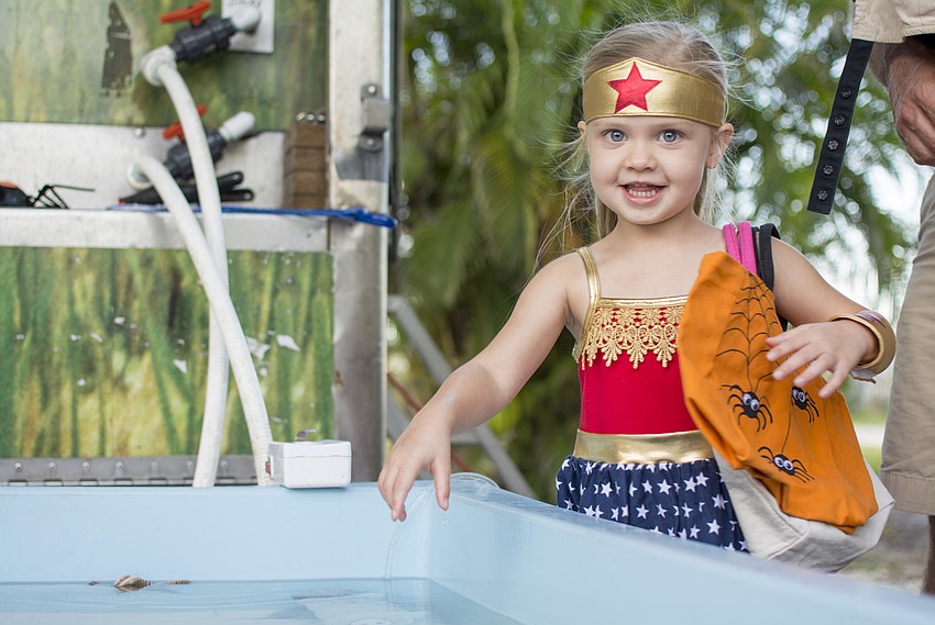 Lizzie Summerour plays in the touch tank during Mote's Night of Fish, Fun and Fright.