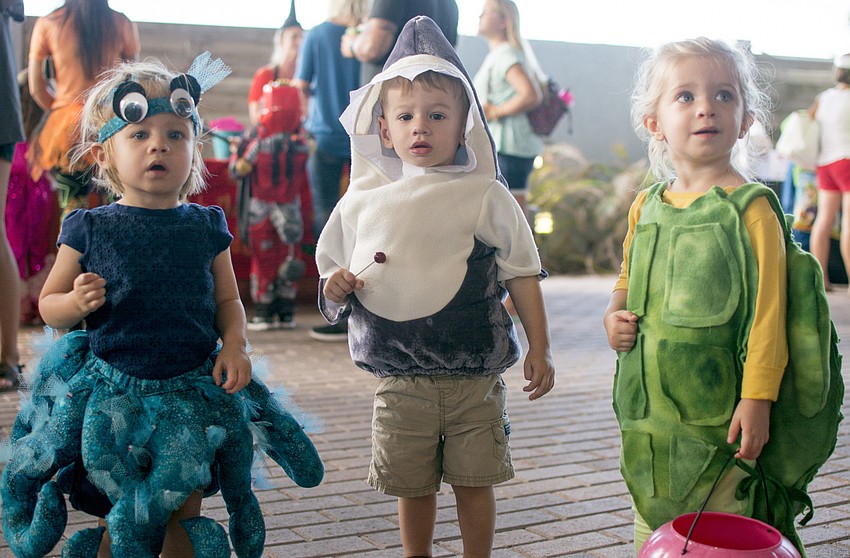 Tess D'Agostino, Connor Jalwan and Margo Athas