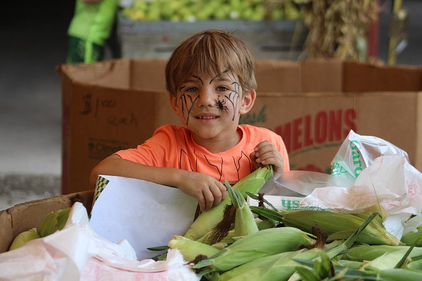 Holmes Beach's Landon Chatt sorts through barrels of corn at the Hunsader Farms Pumpkin Festival.