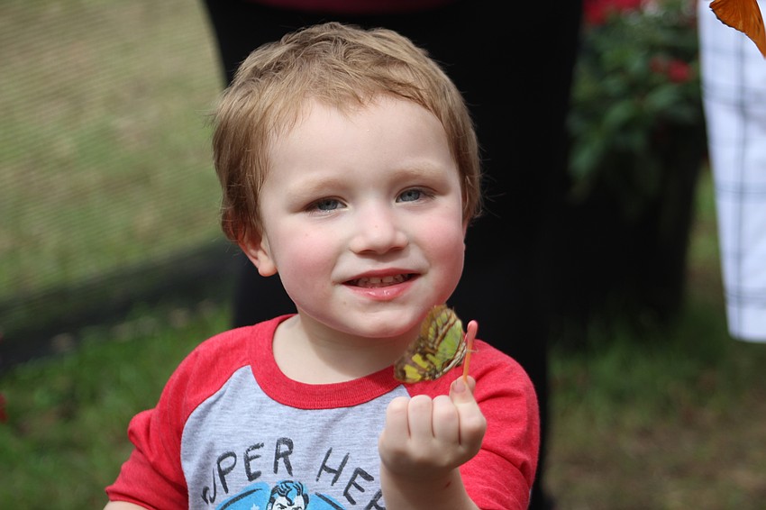 Bradenton's Derrick Bonet shows off one of the many butterflies he caught in the butterfly garden.