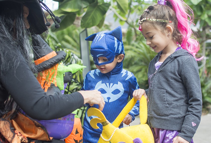 John and Emilia Nicolaides trick-or-treat during the Marie Selby Botanical Gardens Spooktacular.