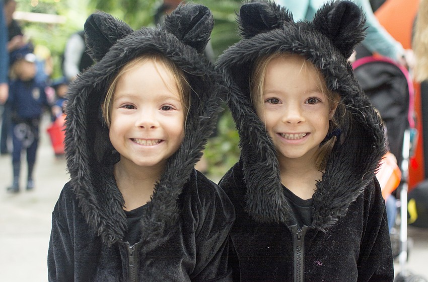 Grier and Gaines Turnbull dressed as cats for Marie Selby Botanical Gardens Spookacular.