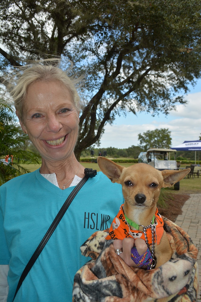 Sue Morrison, a Lakewood Ranch Humane Society volunteer, shows off Sammy, a 1-year-old, Chihuahua who is available for adoption.