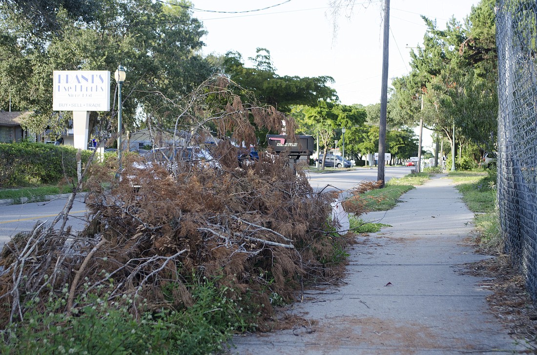In the next few months, piles of storm debris will continue to dwindle around the city and county.