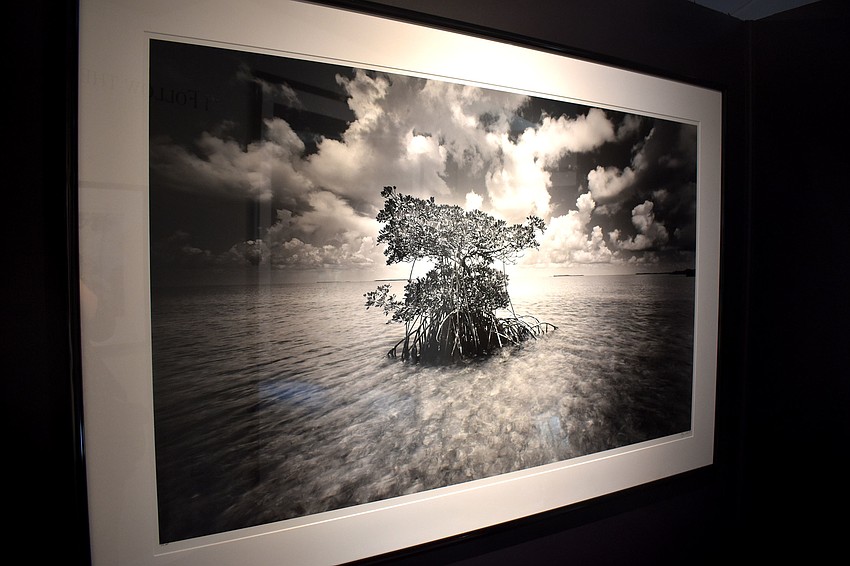 Clyde Butcher has never done commercial photography nor has he done portraits. He has always focused on nature.