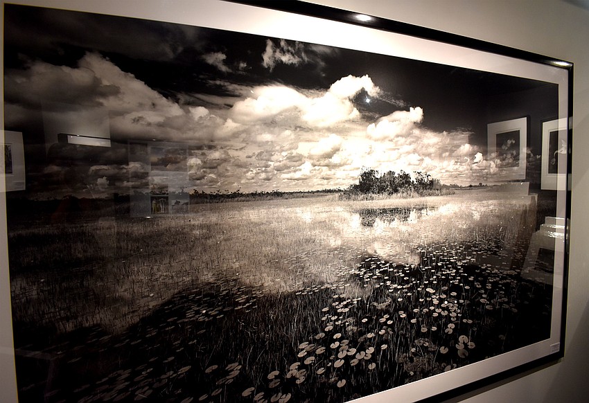 Clyde Butcher’s new St. Armands Circle gallery is his third gallery.