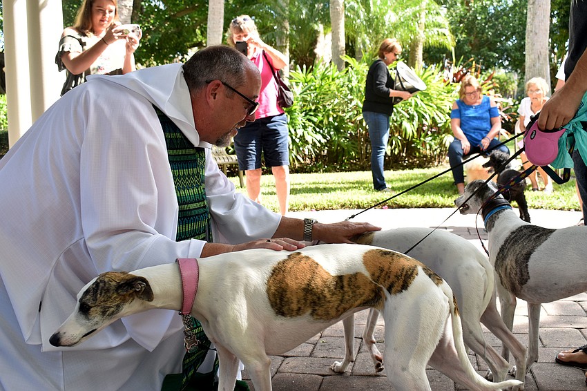 The Rev. Ken Blyth blesses Emma, Bella and Bianca during the St. Armands Key Lutheran Church pet blessing.