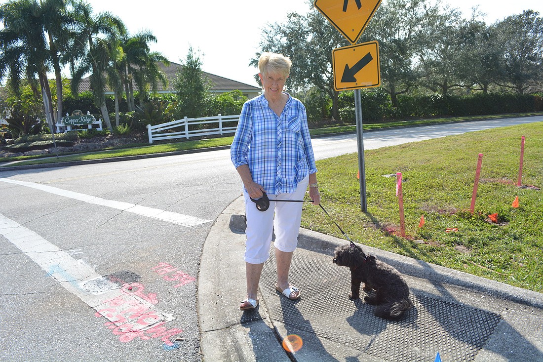 Ruth Slotnick walks her dog from her home off Grand Point Avenue to its intersection with Honore Avenue. There, she was struck by a car two years ago.