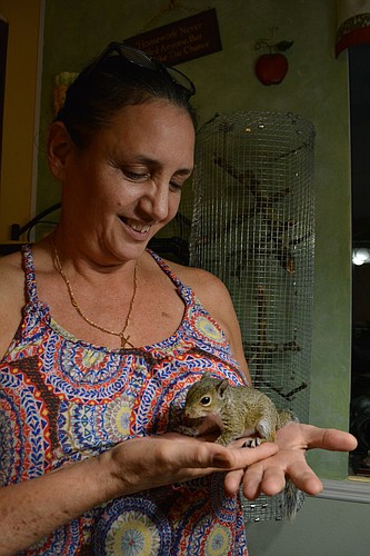 Kathy Banks with one of her three rescued squirrels.
