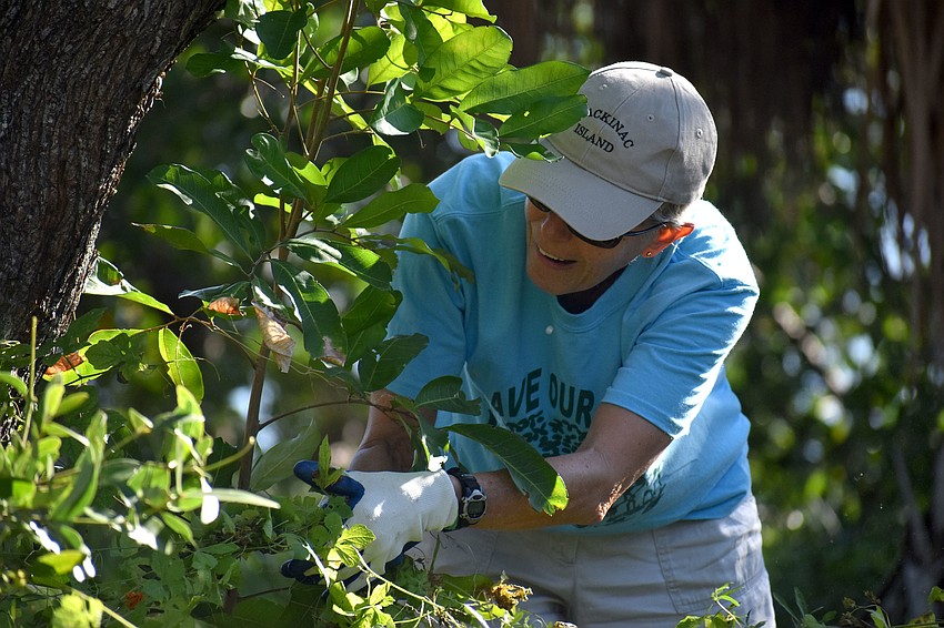 Judy Johnson clips away invasive plants.