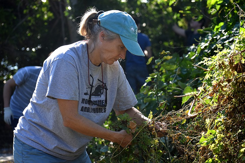 Amy Reid removes invasive plants from Quick Point Preserve branches.