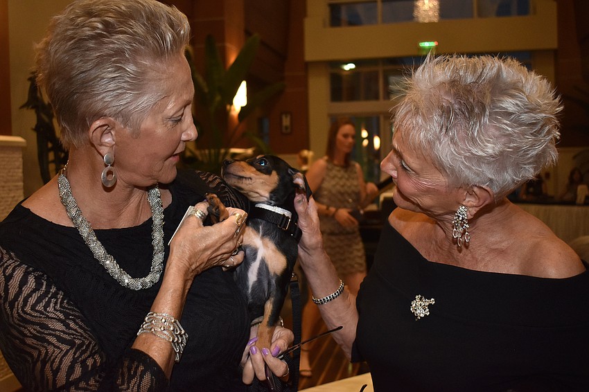 Darlene LaForge and Ronda Kranicke pet Mavi during cocktail hour.