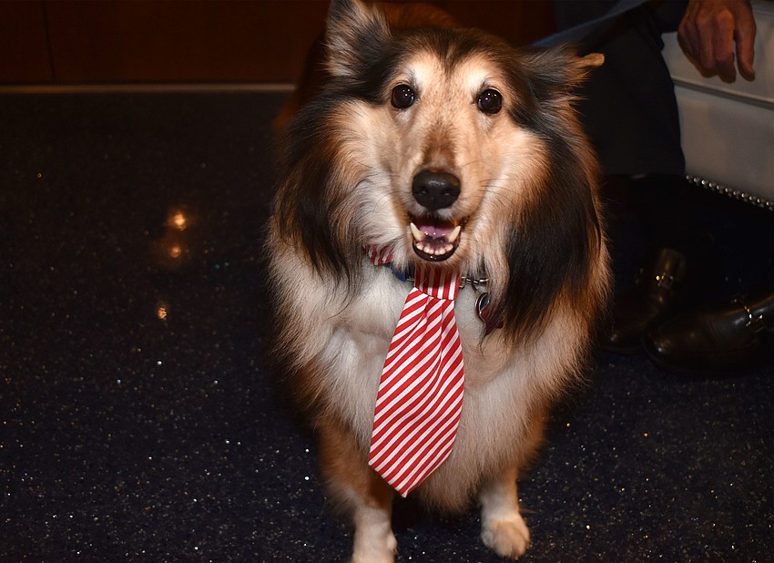 Rescue dog Sparrow greeted guests as they arrived at cocktail hour.