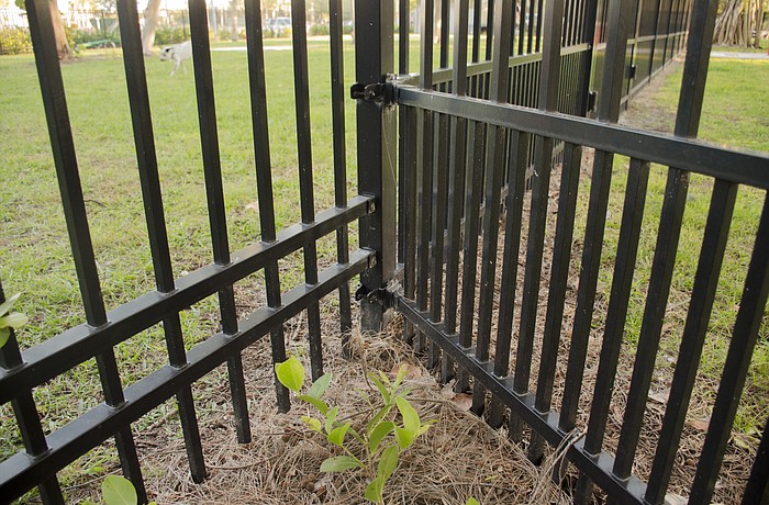 The difference in fencing between the "large dog area"(left) and the "small dog area."