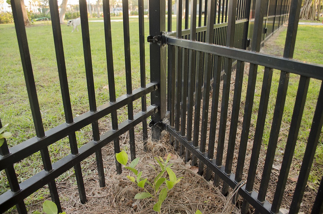 The difference in fencing between the "large dog area"(left) and the "small dog area."