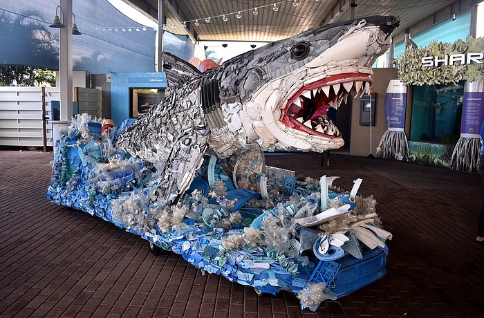Greta the Great White Shark is one of seven marine-debris sculptures in Mote's newest exhibit.