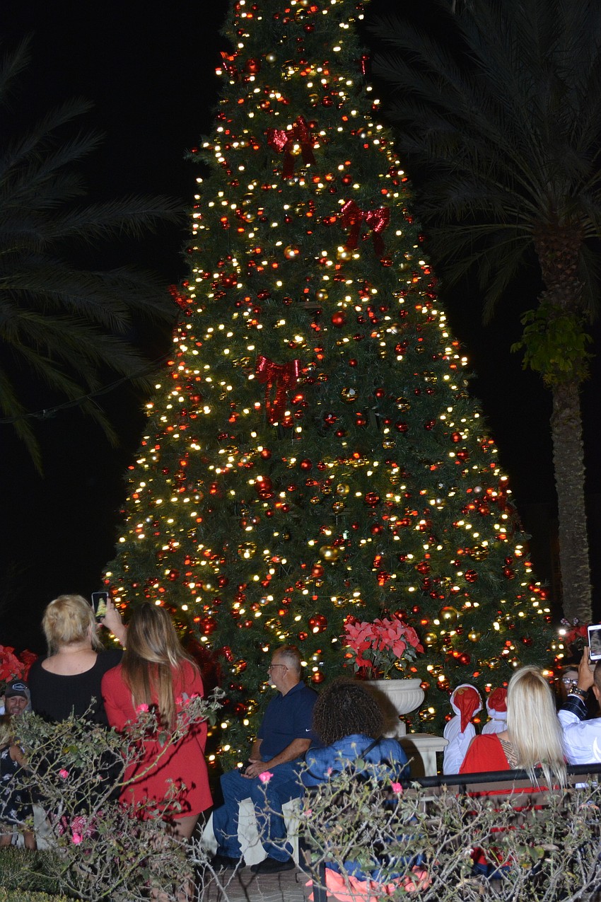 After a countdown, the light switch was flipped on the Main Street holiday tree.