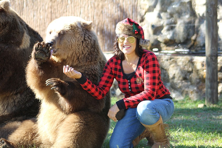 Monica Welde plays with one of Bearadise Ranch's European Bears during Brunch with the Bears.