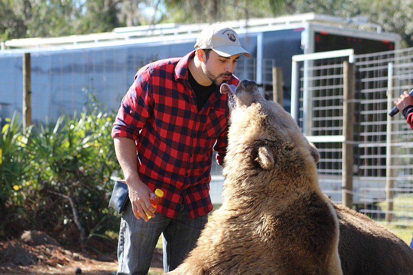 Johnny Jr. Welde gives kisses to Fred, a European bear at Bearadise Ranch.